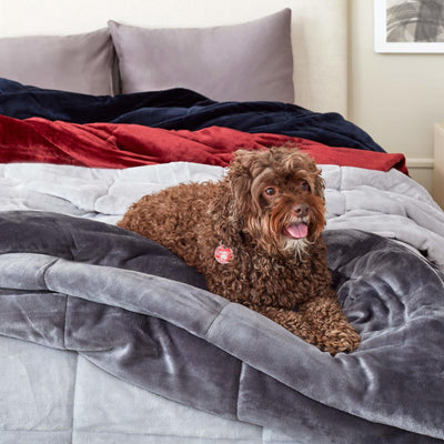 PlushLux Blanket